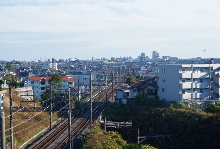 大きい画像