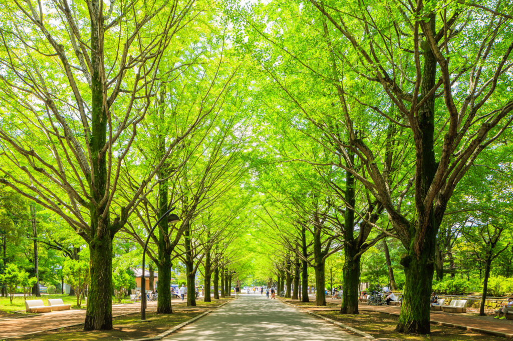 光が丘公園