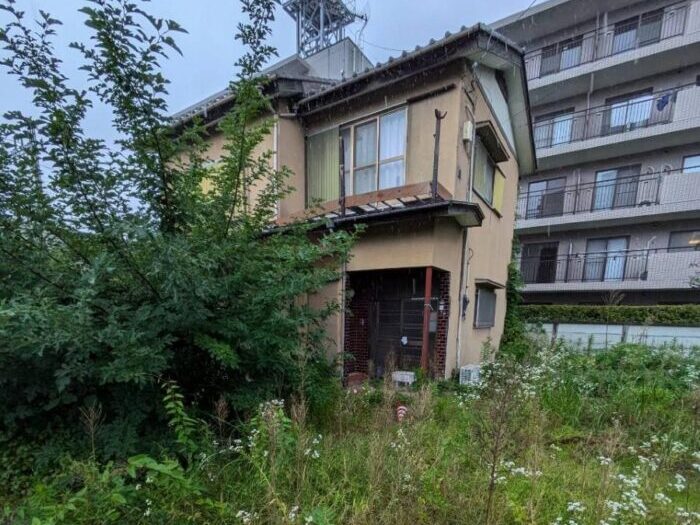 草加市　管理が行き届いておらず草木が生い茂っている